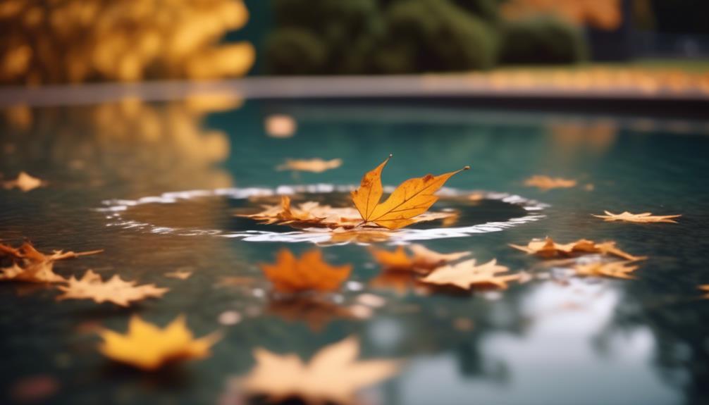 Orange leaf on the surface of pool. Year-round pool care.