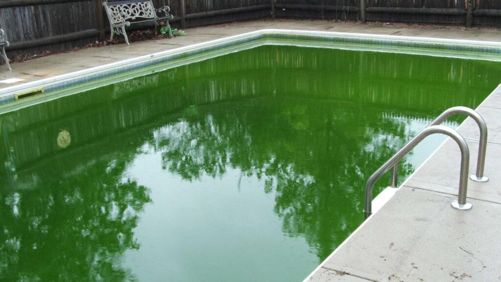 Pool with green water. The critical role of water chemistry in pool health.