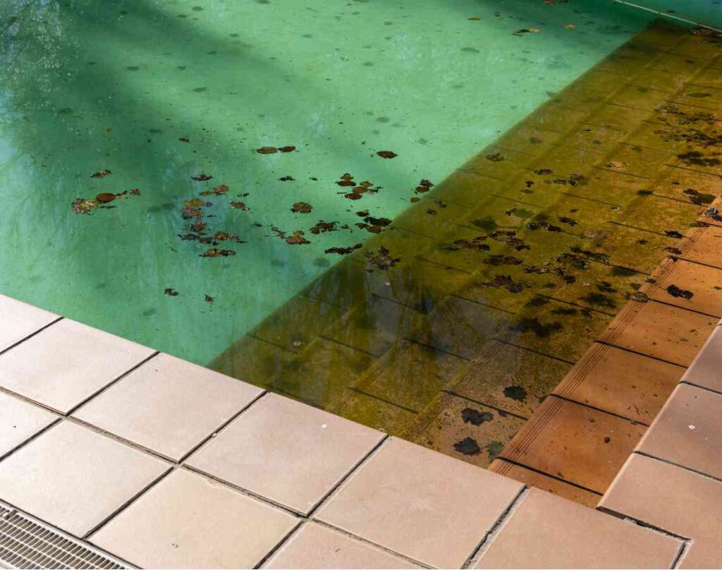 Dirty pool with leaves. The hidden dangers in your pool.