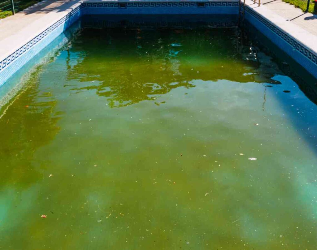 Pool with green water. The hidden dangers in your pool.