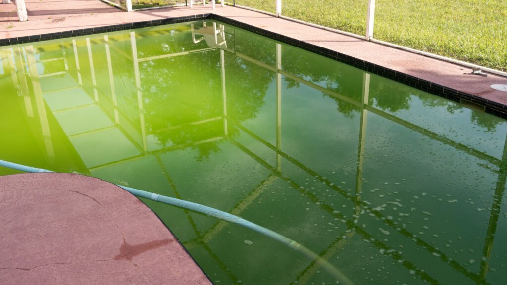 Pool with green water. DIY Fixes for Common Pool Problems